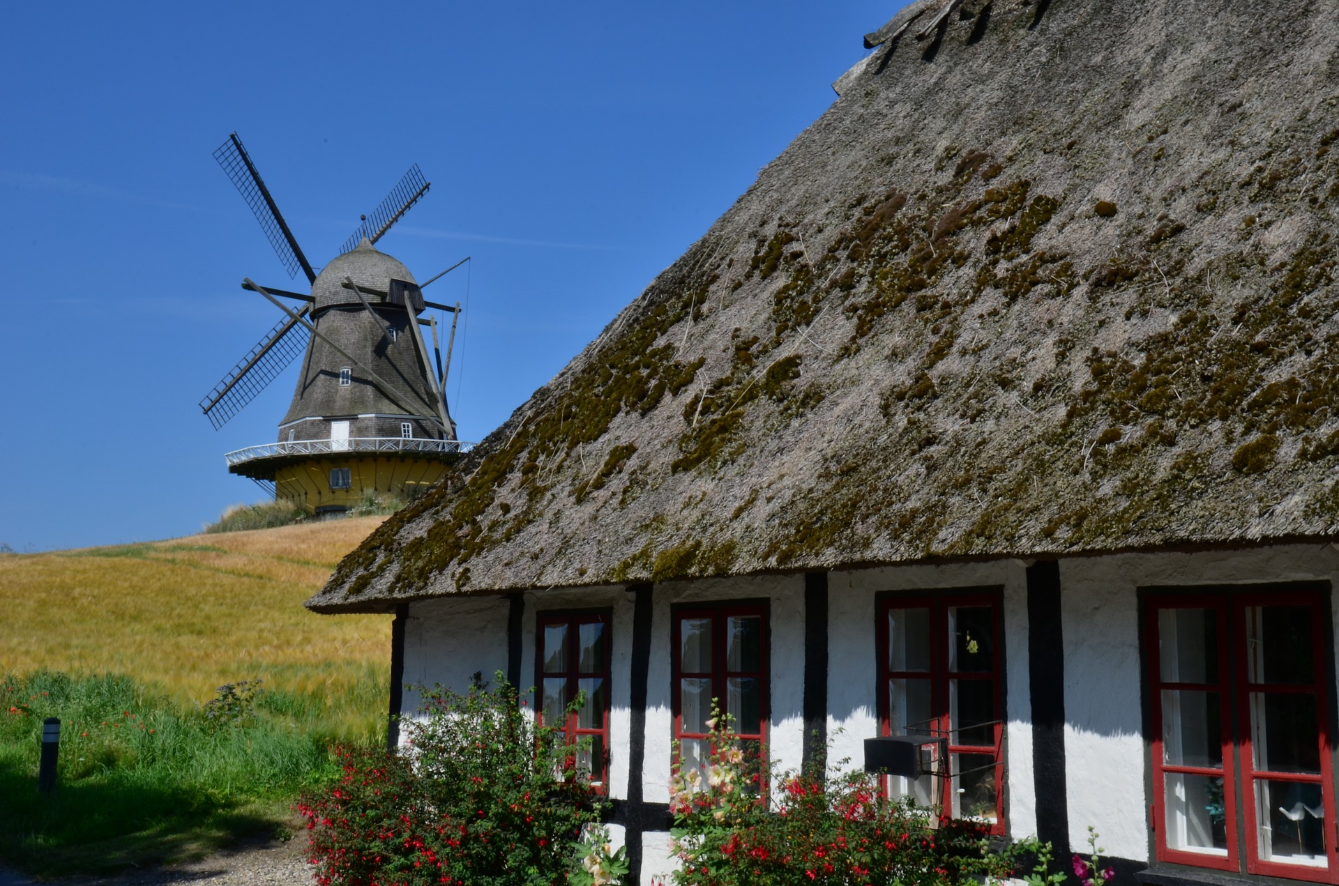 Helles Ferienhaus mit Garten als stimmungsvolles Motiv für besondere Ferienhausurlaube.